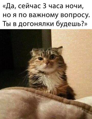https://upforme.ru/uploads/000e/4e/24/1868/t833104.jpg