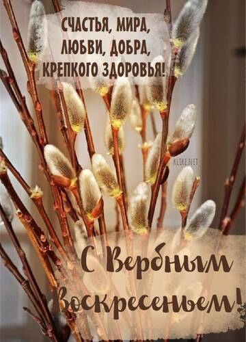 https://upforme.ru/uploads/000e/4e/24/407/t816373.jpg