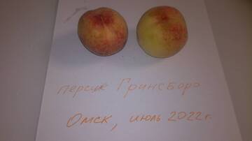 https://upforme.ru/uploads/000e/60/10/1002/t210033.jpg