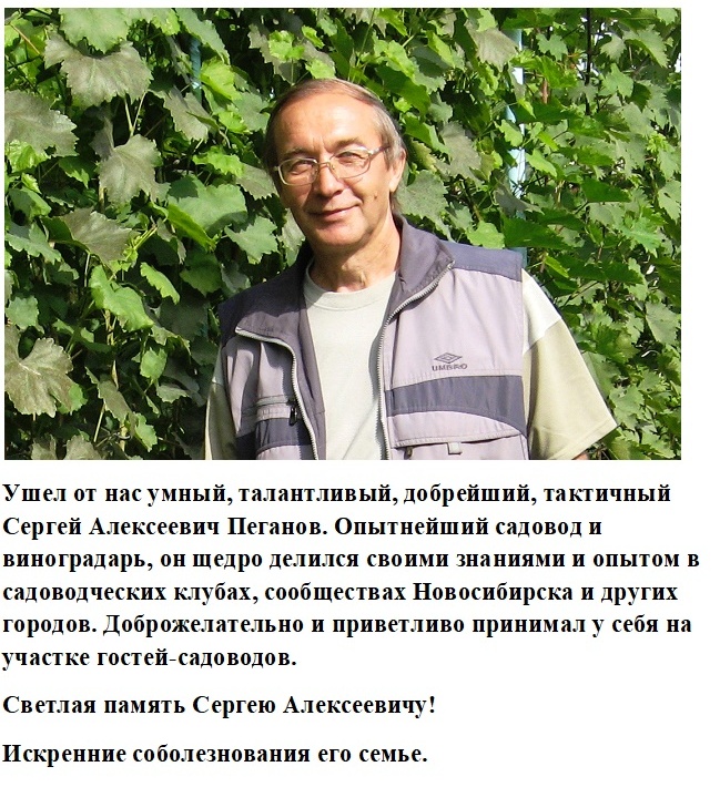 https://upforme.ru/uploads/000e/60/10/12/42168.jpg