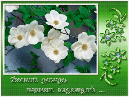 https://upforme.ru/uploads/000e/60/10/12/t303878.gif