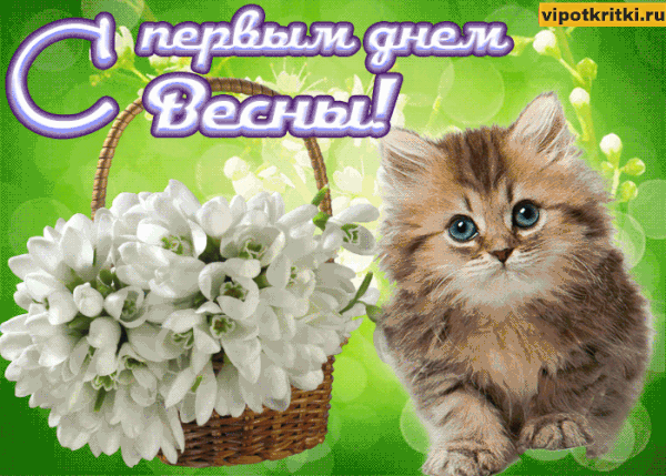 https://upforme.ru/uploads/000e/60/10/12/t445471.gif