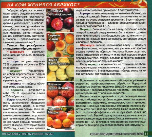 https://upforme.ru/uploads/000e/60/10/12/t457145.jpg