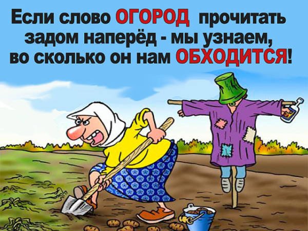 https://upforme.ru/uploads/000e/60/10/12/t521524.jpg