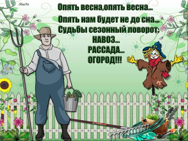 https://upforme.ru/uploads/000e/60/10/12/t767013.jpg