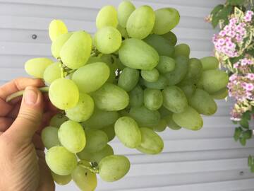 https://upforme.ru/uploads/000e/60/10/875/t157268.jpg