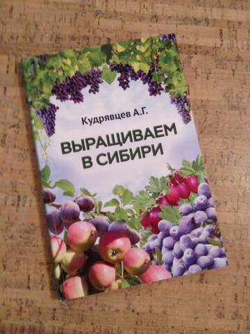 https://upforme.ru/uploads/000e/60/10/875/t185174.jpg