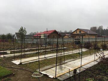 https://upforme.ru/uploads/000e/60/10/875/t29290.jpg
