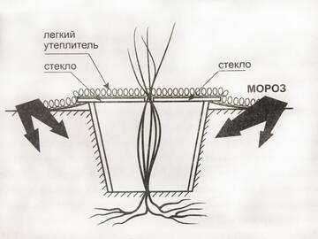 https://upforme.ru/uploads/000e/60/10/875/t616890.jpg