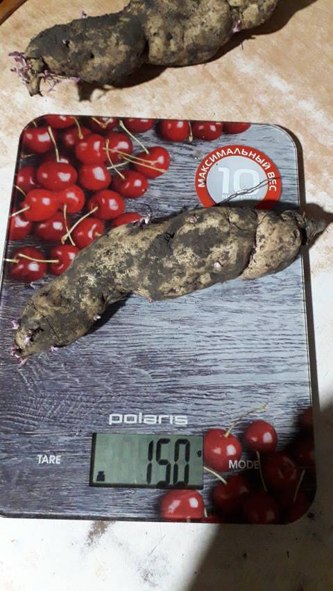 https://upforme.ru/uploads/000e/60/10/911/t99478.jpg