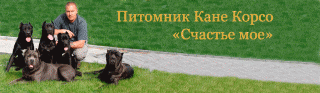 https://upforme.ru/uploads/000e/7b/b8/249-1.gif