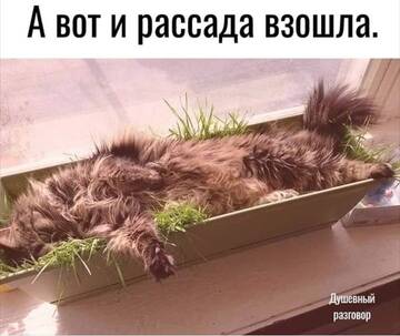 https://upforme.ru/uploads/000e/80/21/2/t128351.jpg