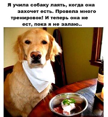 https://upforme.ru/uploads/000e/80/21/2/t275989.jpg