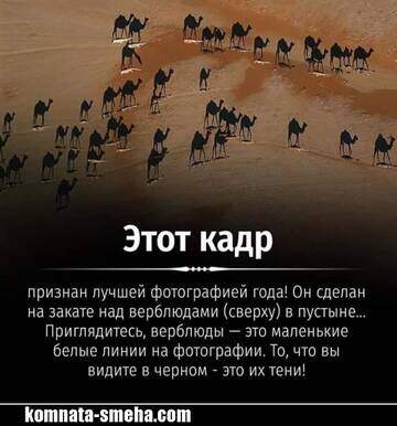 https://upforme.ru/uploads/000e/80/21/2/t443184.jpg