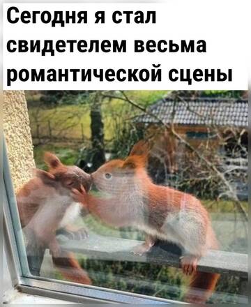 https://upforme.ru/uploads/000e/80/21/2/t448543.jpg