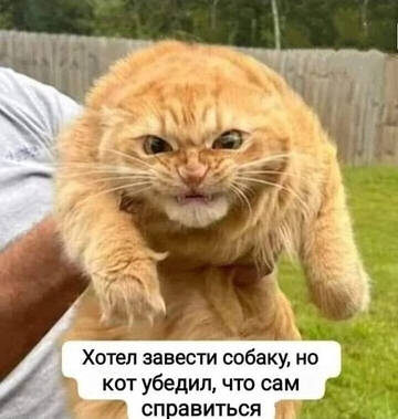 https://upforme.ru/uploads/000e/80/21/2/t711317.jpg