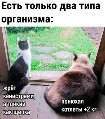 https://upforme.ru/uploads/000e/80/21/2/t875921.jpg