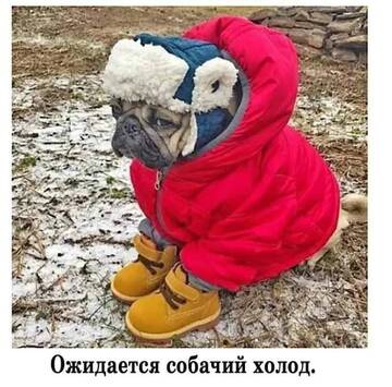 https://upforme.ru/uploads/000e/80/21/2/t94480.jpg