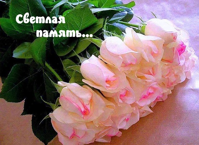 https://upforme.ru/uploads/000e/81/4f/2/468081.jpg