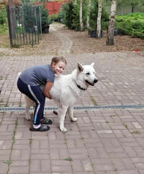 https://upforme.ru/uploads/000e/81/4f/2/962153.jpg