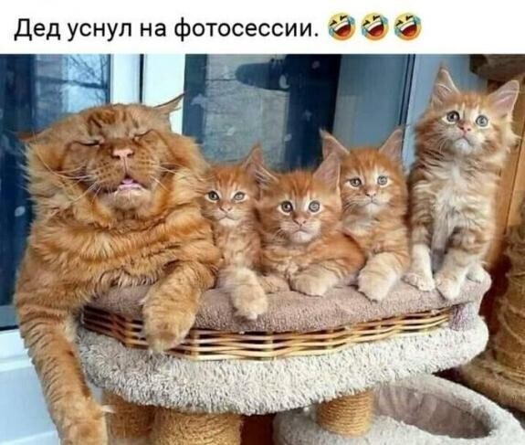 https://upforme.ru/uploads/000e/81/4f/5/596763.jpg