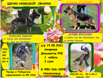 https://upforme.ru/uploads/000e/a2/26/893/t286208.png