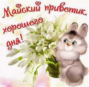 https://upforme.ru/uploads/000e/ad/4d/11355/t117889.jpg