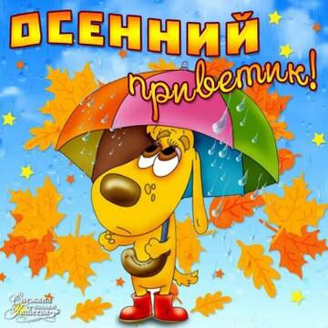 https://upforme.ru/uploads/000e/ad/4d/11355/t154828.jpg