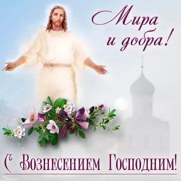 https://upforme.ru/uploads/000e/ad/4d/11355/t161485.webp