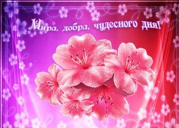 https://upforme.ru/uploads/000e/ad/4d/11355/t175317.jpg