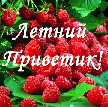 https://upforme.ru/uploads/000e/ad/4d/11355/t178402.jpg