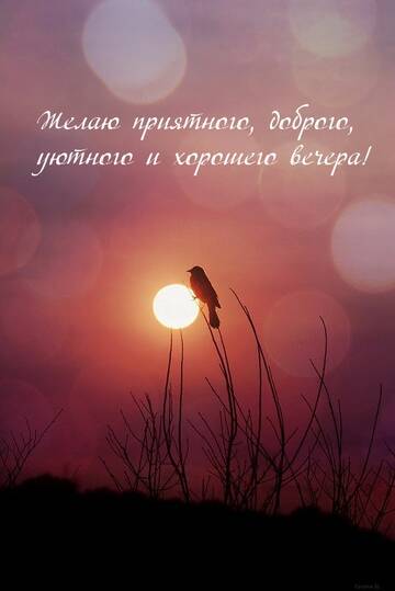 https://upforme.ru/uploads/000e/ad/4d/11355/t201133.jpg