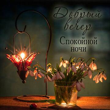 https://upforme.ru/uploads/000e/ad/4d/11355/t20810.jpg