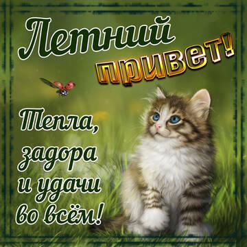 https://upforme.ru/uploads/000e/ad/4d/11355/t212508.jpg