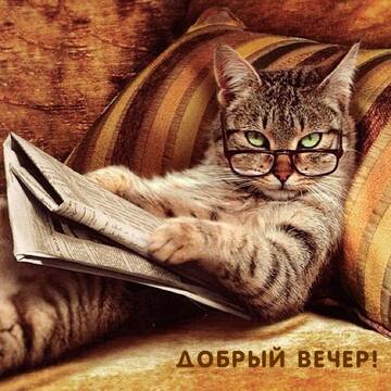 https://upforme.ru/uploads/000e/ad/4d/11355/t214608.jpg