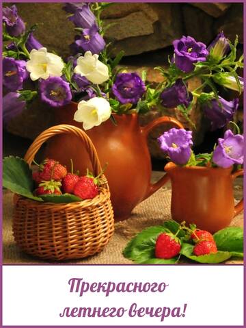 https://upforme.ru/uploads/000e/ad/4d/11355/t250286.jpg