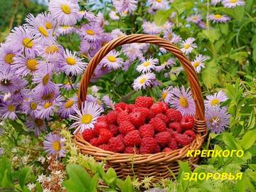 https://upforme.ru/uploads/000e/ad/4d/11355/t252402.jpg