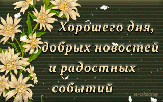 https://upforme.ru/uploads/000e/ad/4d/11355/t297439.gif
