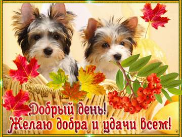 https://upforme.ru/uploads/000e/ad/4d/11355/t317240.jpg
