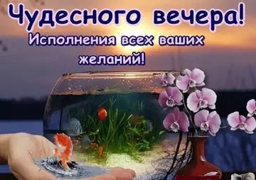 https://upforme.ru/uploads/000e/ad/4d/11355/t340992.webp