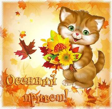 https://upforme.ru/uploads/000e/ad/4d/11355/t358549.jpg