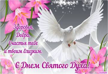 https://upforme.ru/uploads/000e/ad/4d/11355/t376965.jpg
