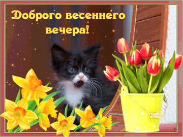 https://upforme.ru/uploads/000e/ad/4d/11355/t400539.gif