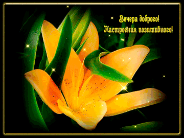 https://upforme.ru/uploads/000e/ad/4d/11355/t423178.gif