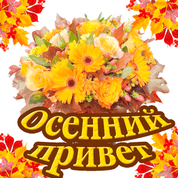 https://upforme.ru/uploads/000e/ad/4d/11355/t433336.gif