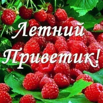 https://upforme.ru/uploads/000e/ad/4d/11355/t455036.jpg