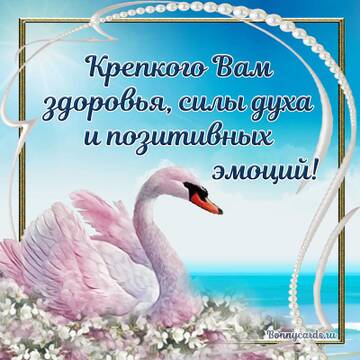 https://upforme.ru/uploads/000e/ad/4d/11355/t483109.jpg