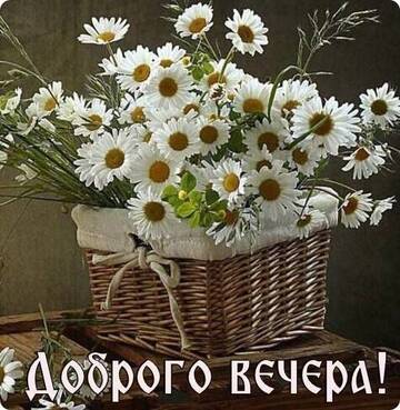 https://upforme.ru/uploads/000e/ad/4d/11355/t511749.jpg