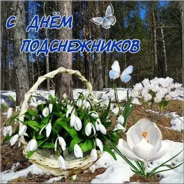 https://upforme.ru/uploads/000e/ad/4d/11355/t57345.webp