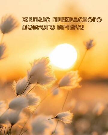 https://upforme.ru/uploads/000e/ad/4d/11355/t59837.jpg